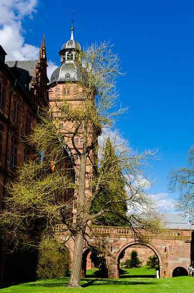 Schloss Johannisburg in Aschaffenburg von Dieter Walther