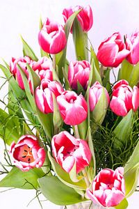 Bouquet de tulipes blanches / roses sur Egon Zitter