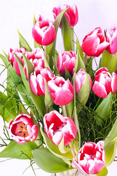 Boeket met wit/ roze  tulpen van Egon Zitter