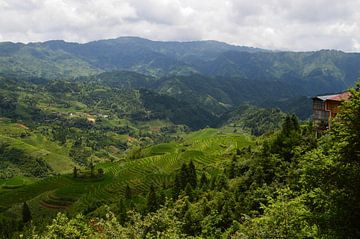 Endless layers of ricefields in Longji by Zoe Vondenhoff