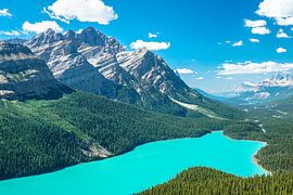 strahlendes Türkises Wasser an einem herrlichen sonnigem und Sommerlichen Tag am Peyto Lake im Banff von Leo Schindzielorz