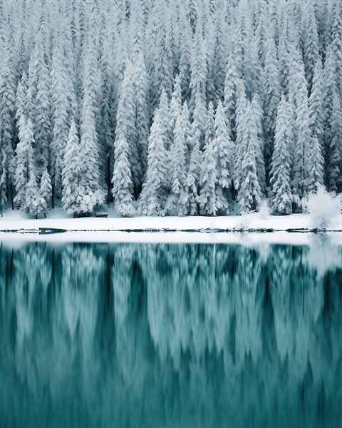 Winterzauber am See von fernlichtsicht