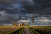Warm winter light illuminates the Groningen landscape on a January day while dark storm clouds pass 