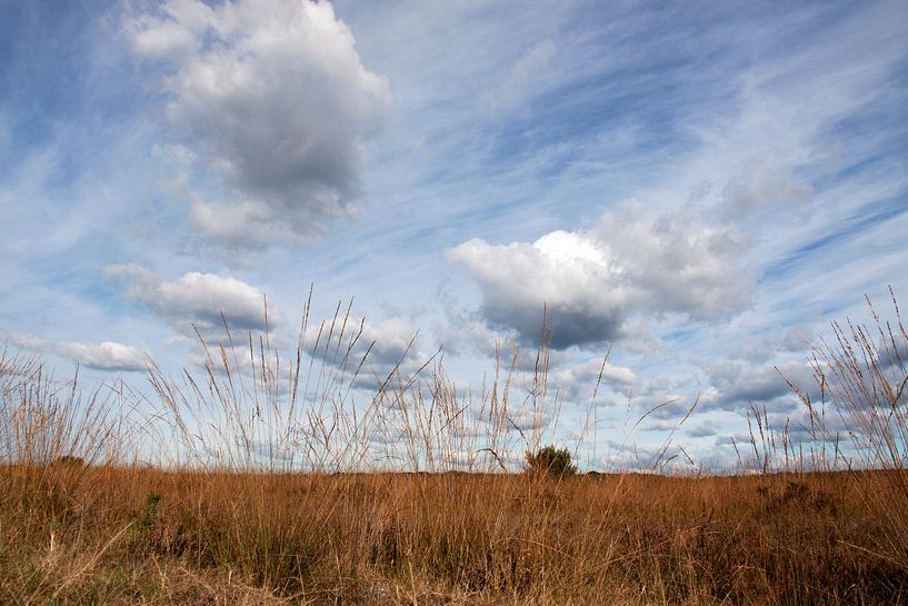 wolkenweg boven de Veluwe  par Nienke Stegeman