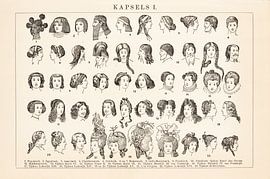Vintage engraving Hairstyles I by Studio Wunderkammer