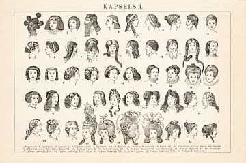 Vintage gravure Kapsels I van Studio Wunderkammer