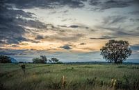 soirée dans le parc national kruger en afrique du sud par ChrisWillemsen Aperçu