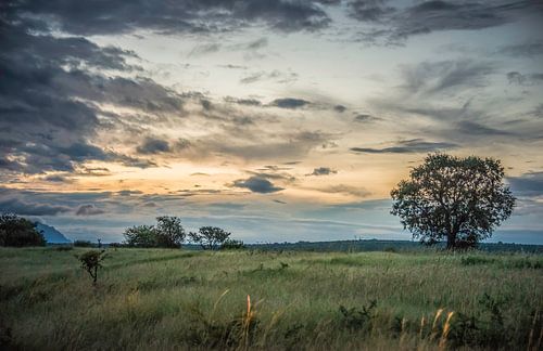 evening landscape with beautifull clouds and sunset in sout africa kruger national park