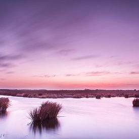 Coucher de soleil violet sur Rutger Bus