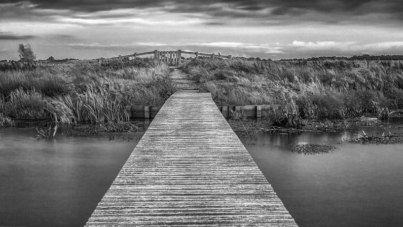 Knuppelpad Roegwold with fence by R Smallenbroek