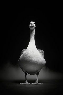Gans van Poster Art Shop