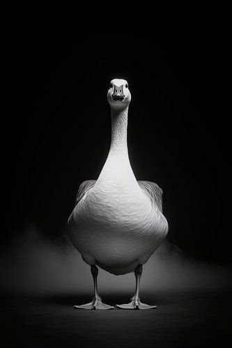 Gans