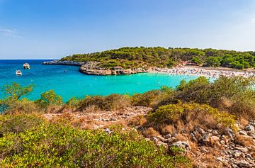 Beautiful beach bay on Mallorca, Spain Balearic islands, Mediterranean Sea by Alex Winter