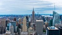 Empire State Building (New York) von Perry van Herpen Miniaturansicht