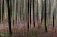 Abstracte bomen in een bos van Tonko Oosterink thumbnail