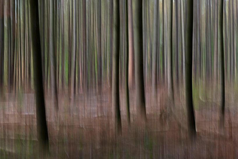 Abstracte bomen in een bos van Tonko Oosterink