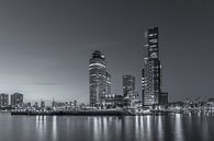 Rotterdam Skyline - Wilhelminapier - 2 van Tux Photography thumbnail