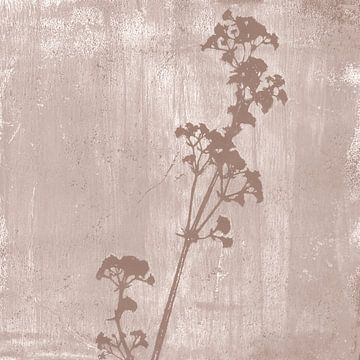 Botanische illustratie in retrostijl in zacht bruin van Dina Dankers
