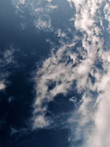 Hoog in de Wolken