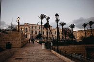 Bij de toegangspoorten naar de Oude Stad Jeruzalem van Lauri Miriam van Bodegraven thumbnail