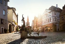 Fürth Grüner Markt von Faszination Fürth