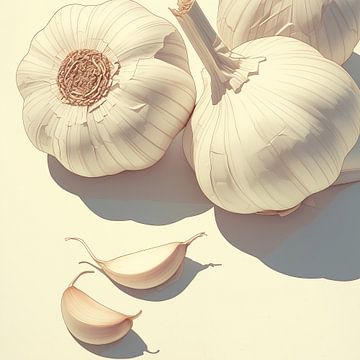 The Texture and Shadow of Garlic Dissected by Color Square