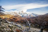 Berg Monte Fitz Roy in een herfstlandschap in Patagonië van Armin Palavra thumbnail