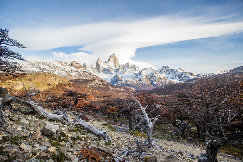Berg Monte Fitz Roy in een herfstlandschap in Patagonië van Armin Palavra