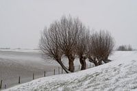 Winter scene in the Netherlands