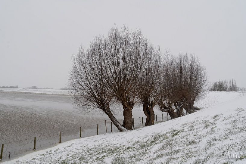 Winterszene in den Niederlanden von Tina Linssen