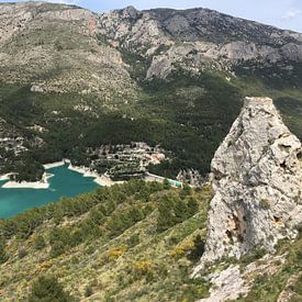 emma de winter Profile picture