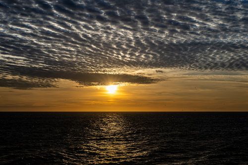 Op zoek naar het licht op Kullaberg