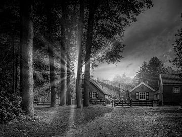 Landschaft Oud Groevenbeek von Kok and Kok