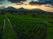 Vulkanen in Bali (Indonesie) van Ardi Mulder thumbnail