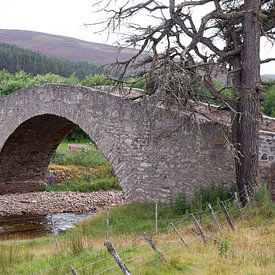 Old stone bridge in Scotland