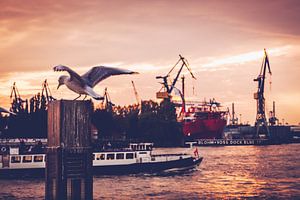 Port de Hambourg sur Alexander Voss