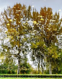 Urbane Reflektion - Leuchtender Herbst