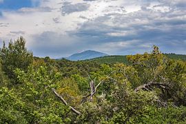The Mont Ventoux in Provence by Martijn Joosse