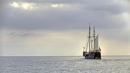 Het onbekende tegenmoet