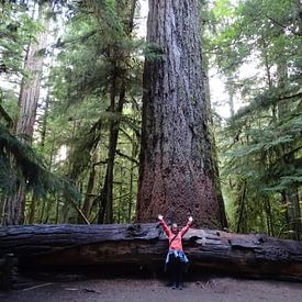 Rianne Jong de Profile picture