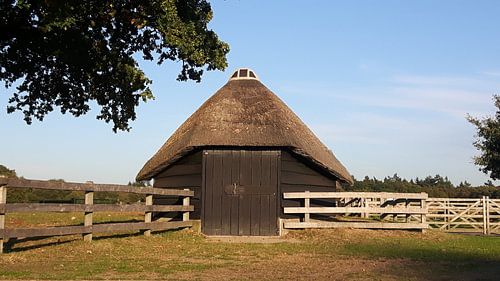 Schuurtje op de heide