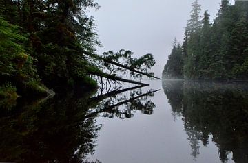 Spiegeling by Jurgen Hermse