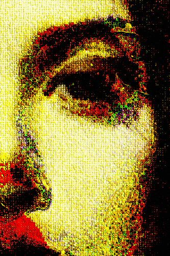 HANANAI – Fragmentiertes Neonporträt – Abstrakte Wandkunst