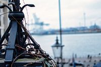 De natuur en de haven.