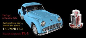 Triumph TR3