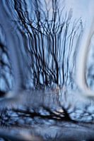 Glass