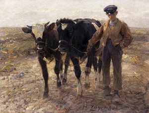 Hirte mit Jungrindern auf der Heide, HEINRICH VON ZÜGEL, 1904
