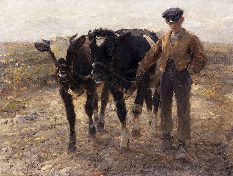 Hirte mit Jungrindern auf der Heide, HEINRICH VON ZÜGEL, 1904 von Atelier Liesjes