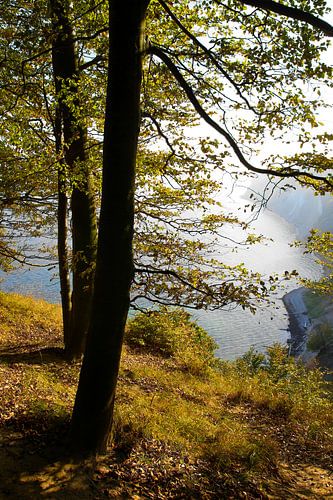 Herfst aan de kust
