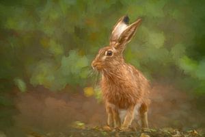 Hase im Wald (Bildauftritt)